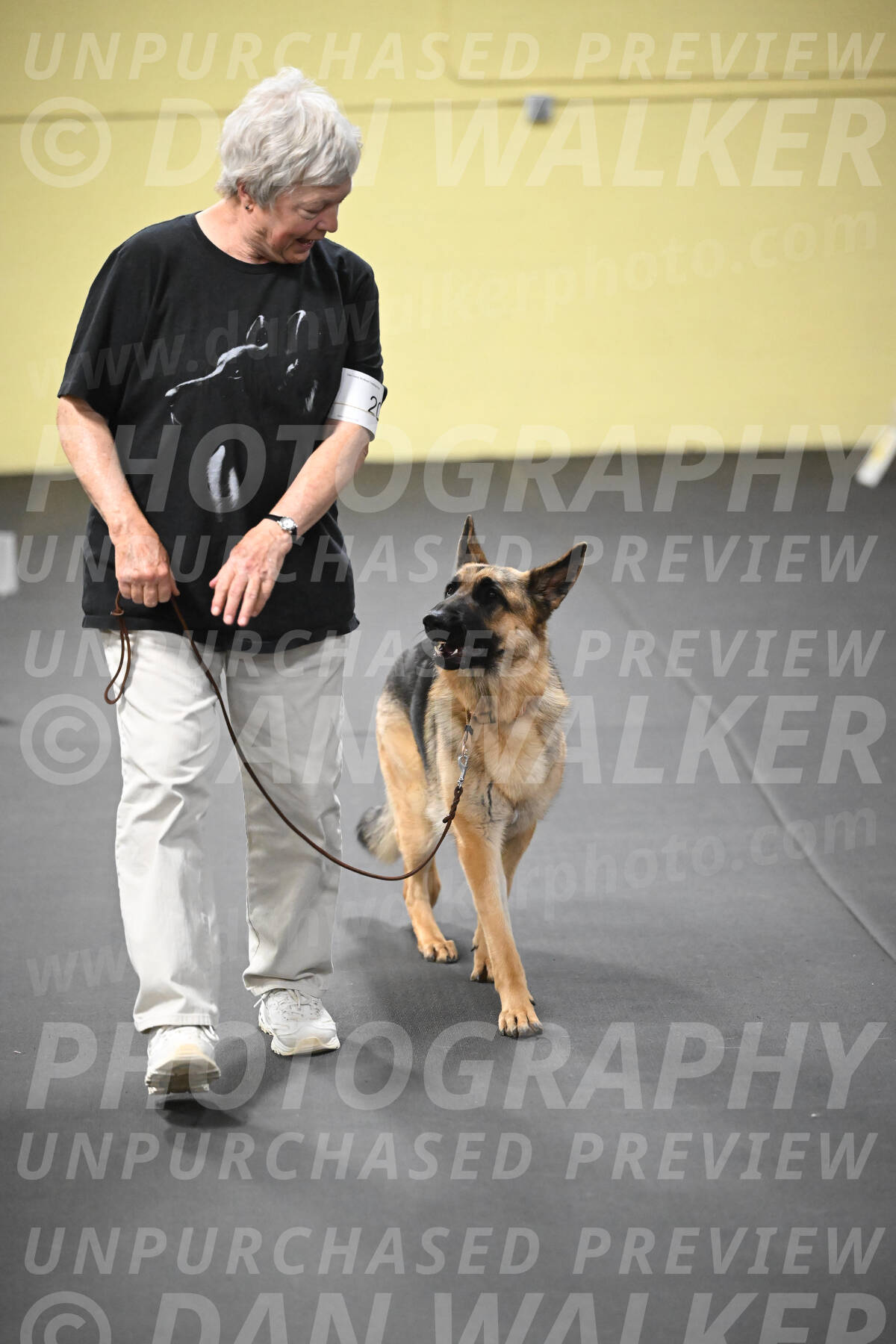 SUN201_0057