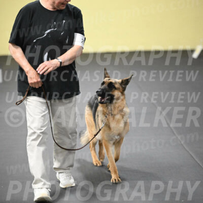 SUN201_0058