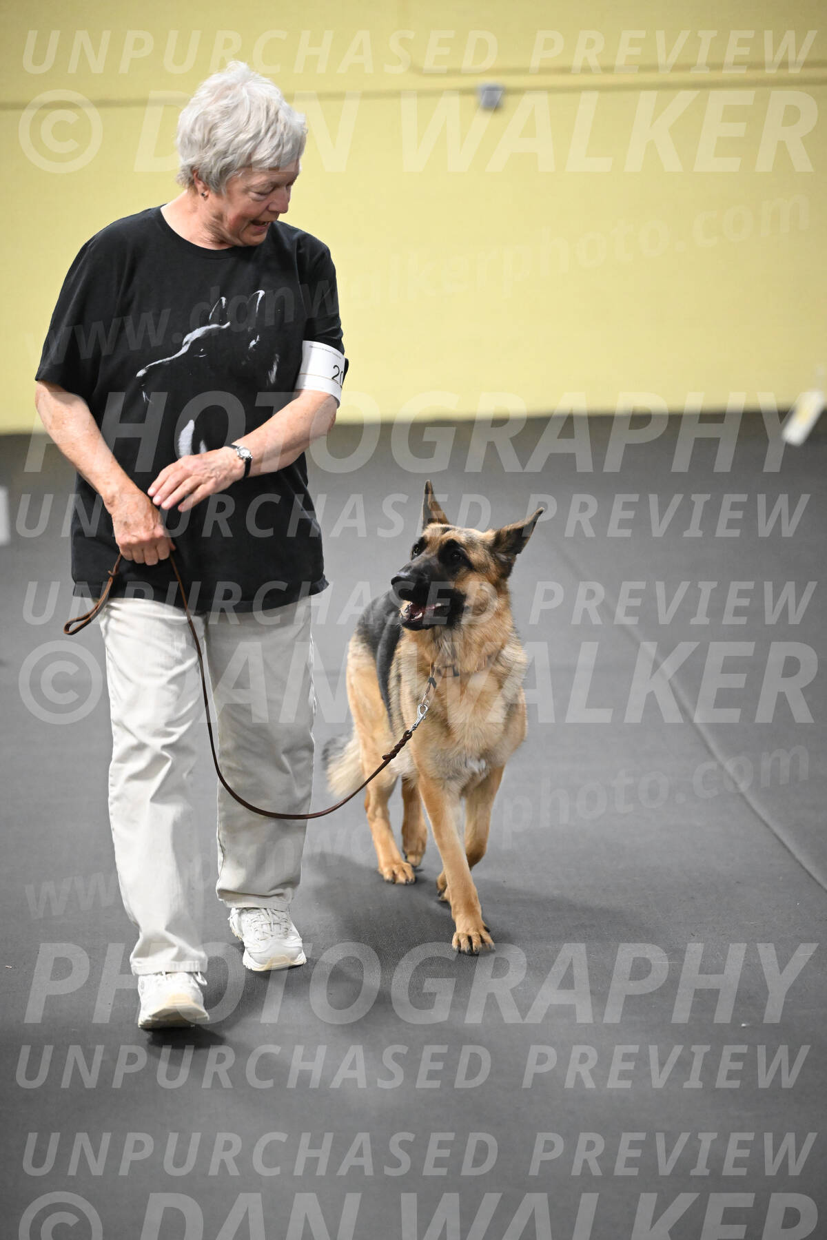 SUN201_0058