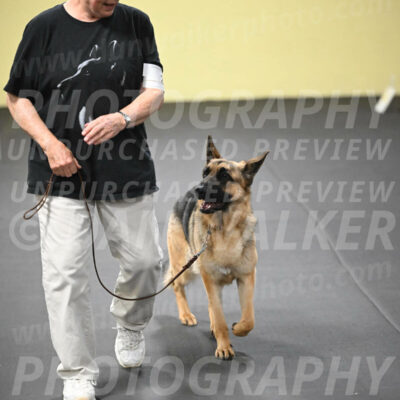 SUN201_0059