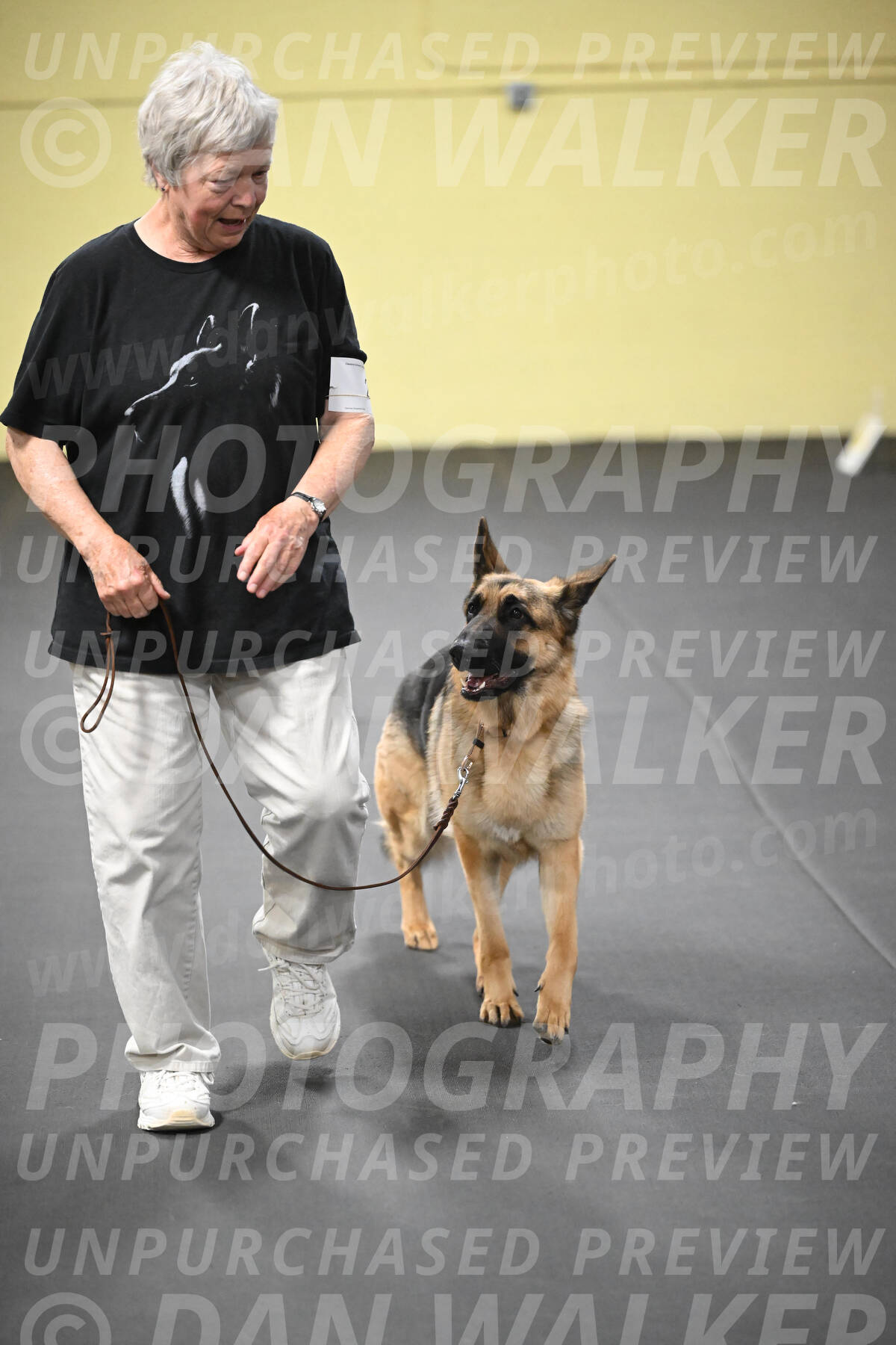 SUN201_0060