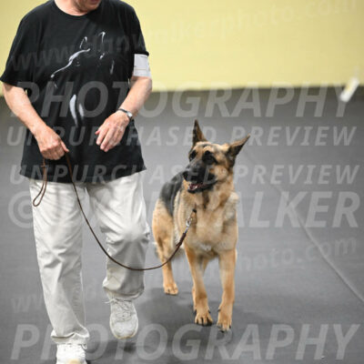 SUN201_0060