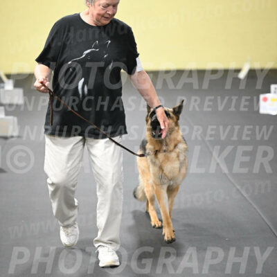 SUN201_0063