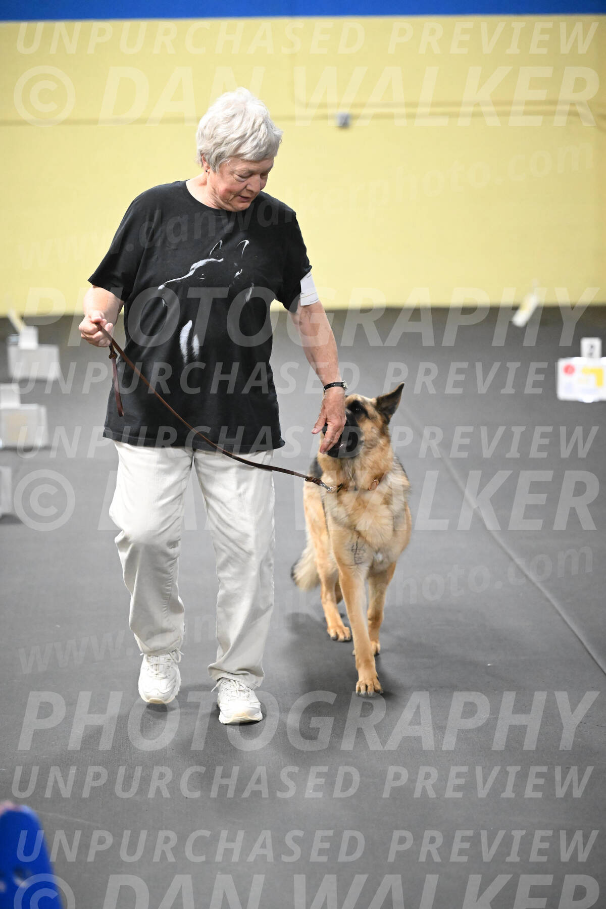 SUN201_0064