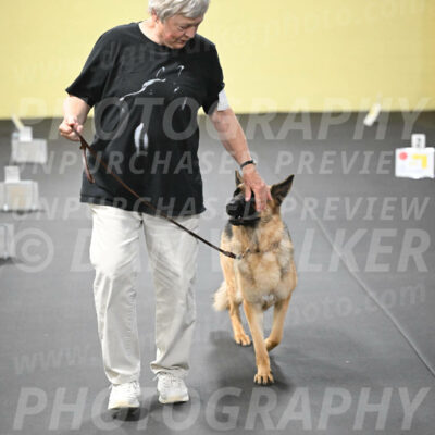 SUN201_0065