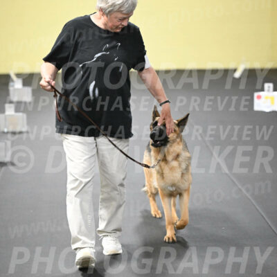 SUN201_0066