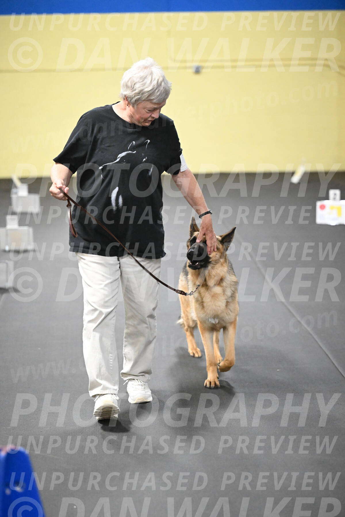 SUN201_0066