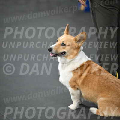 SUN202_0006