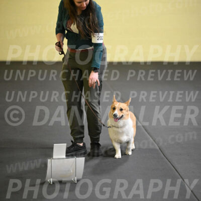 SUN202_0022