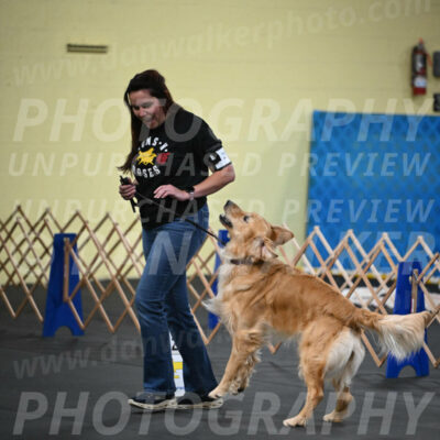 SUN203_0004