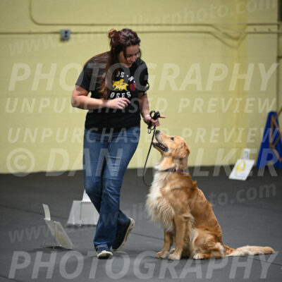 SUN203_0005