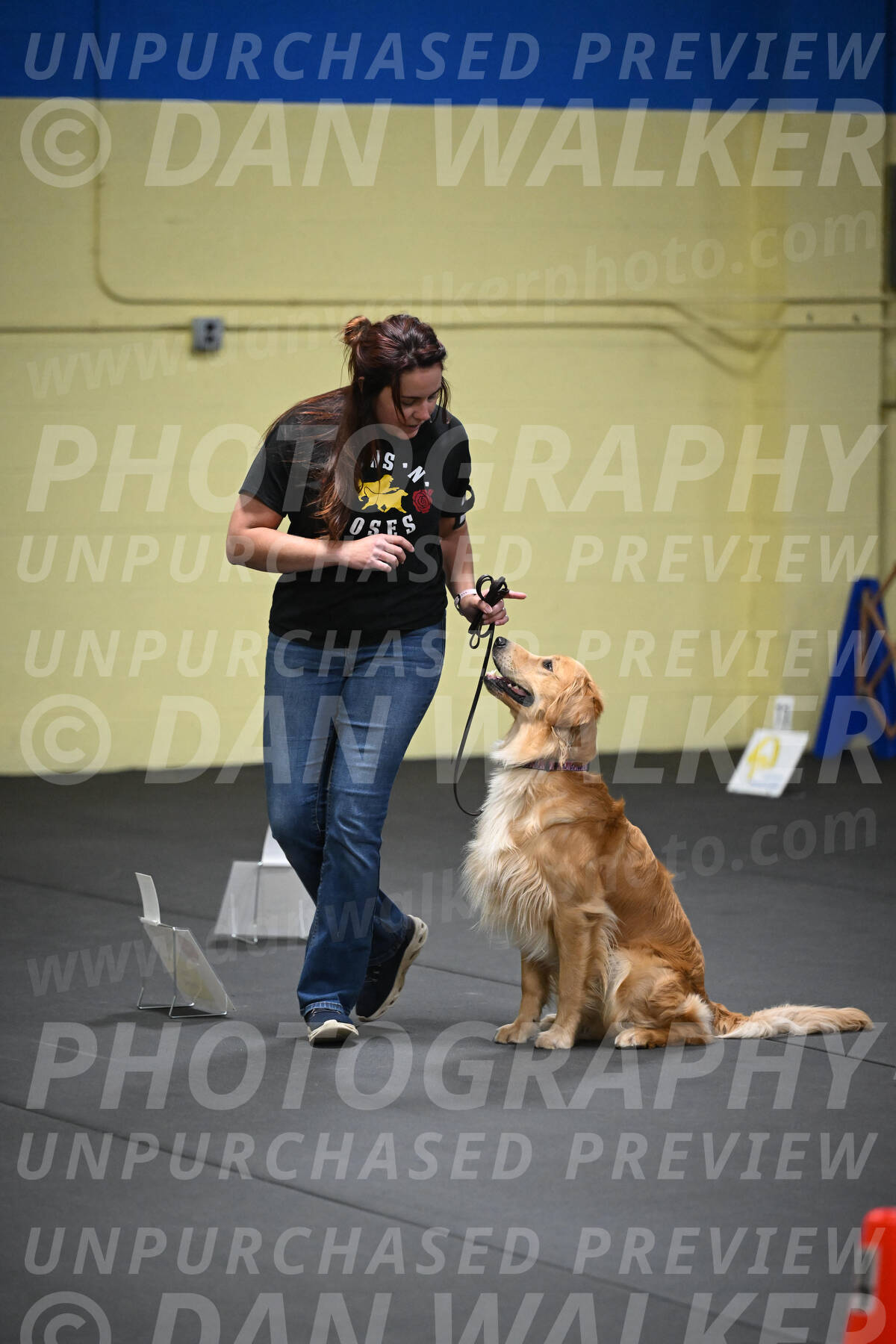 SUN203_0005