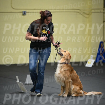 SUN203_0006