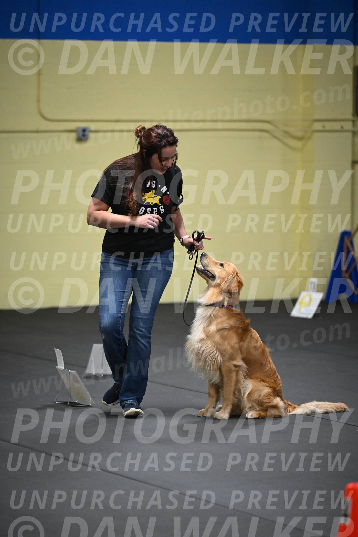 SUN203_0006