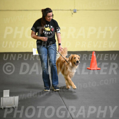 SUN203_0013