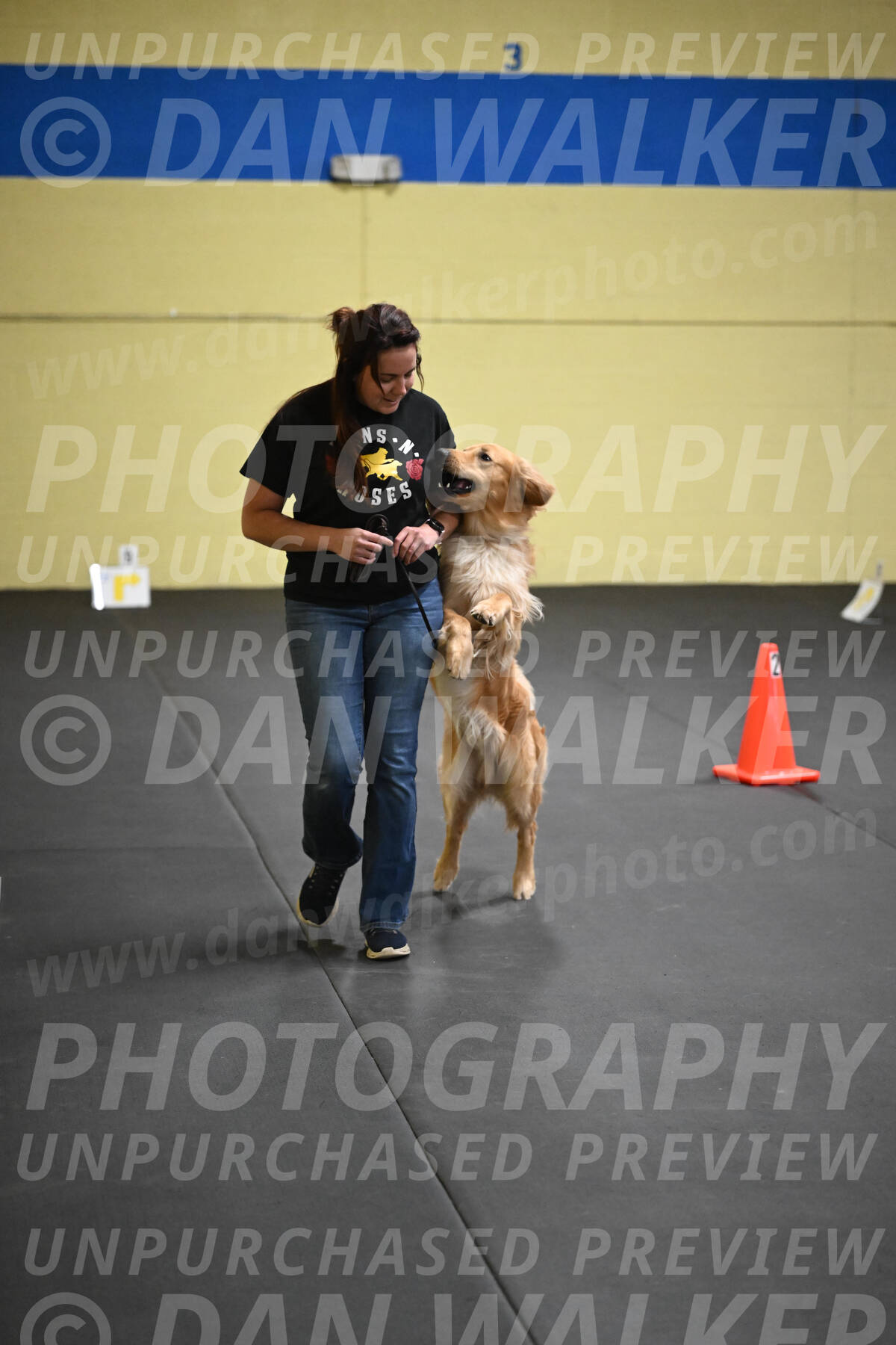 SUN203_0019