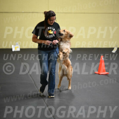 SUN203_0019