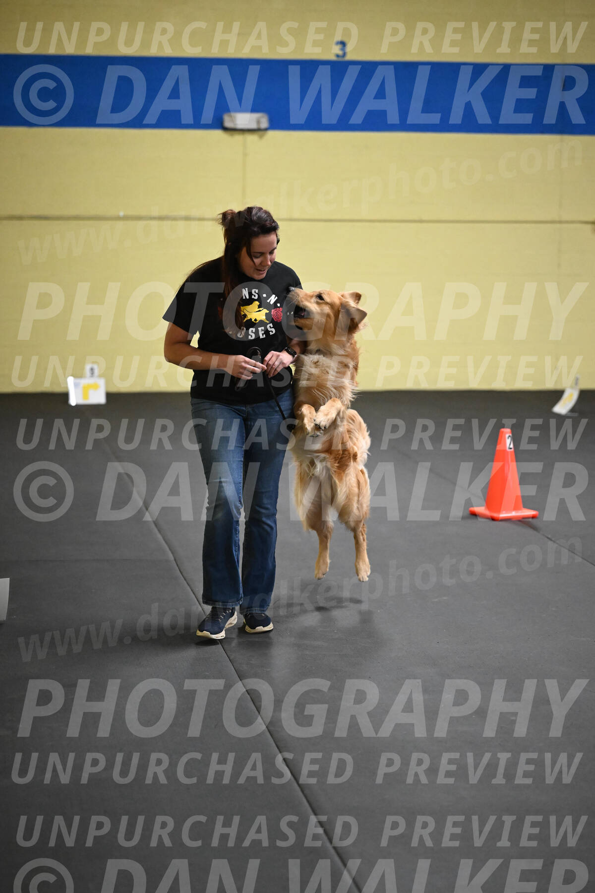 SUN203_0020