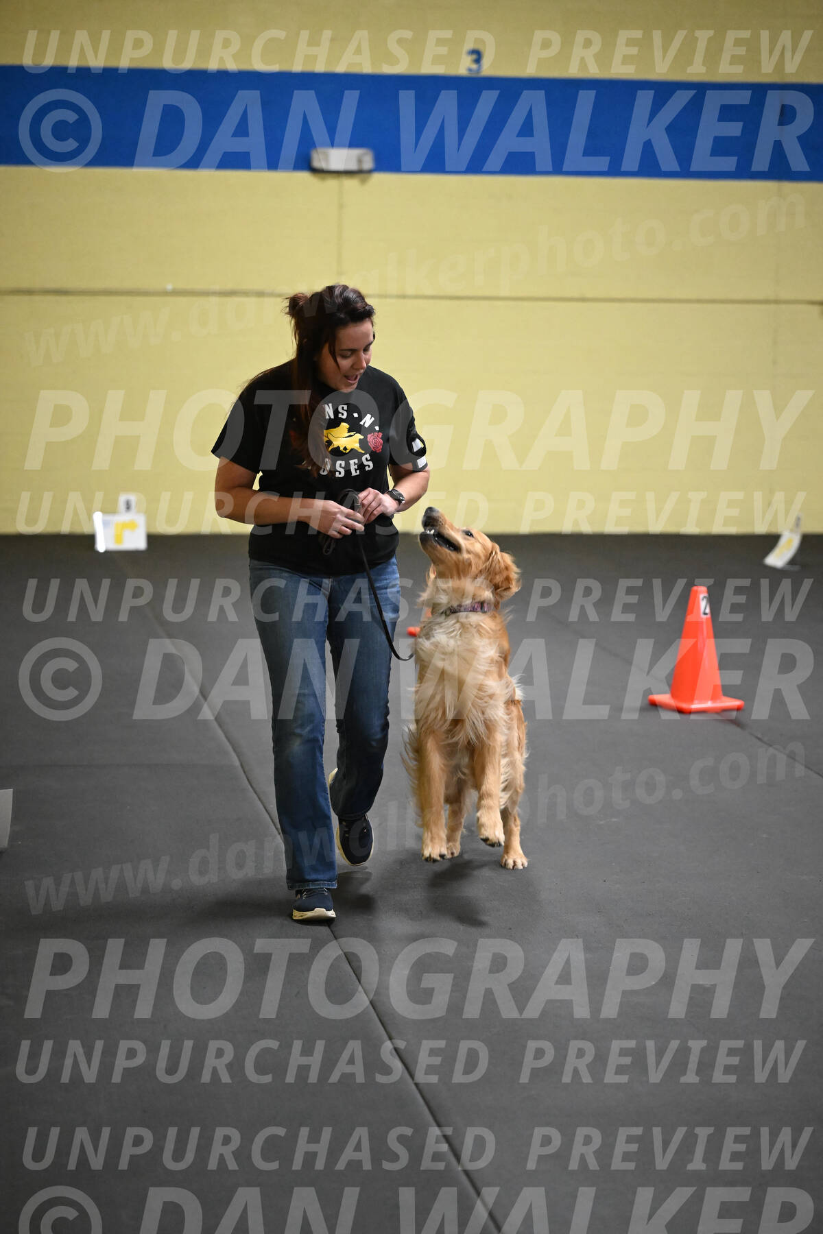 SUN203_0023