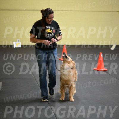 SUN203_0024