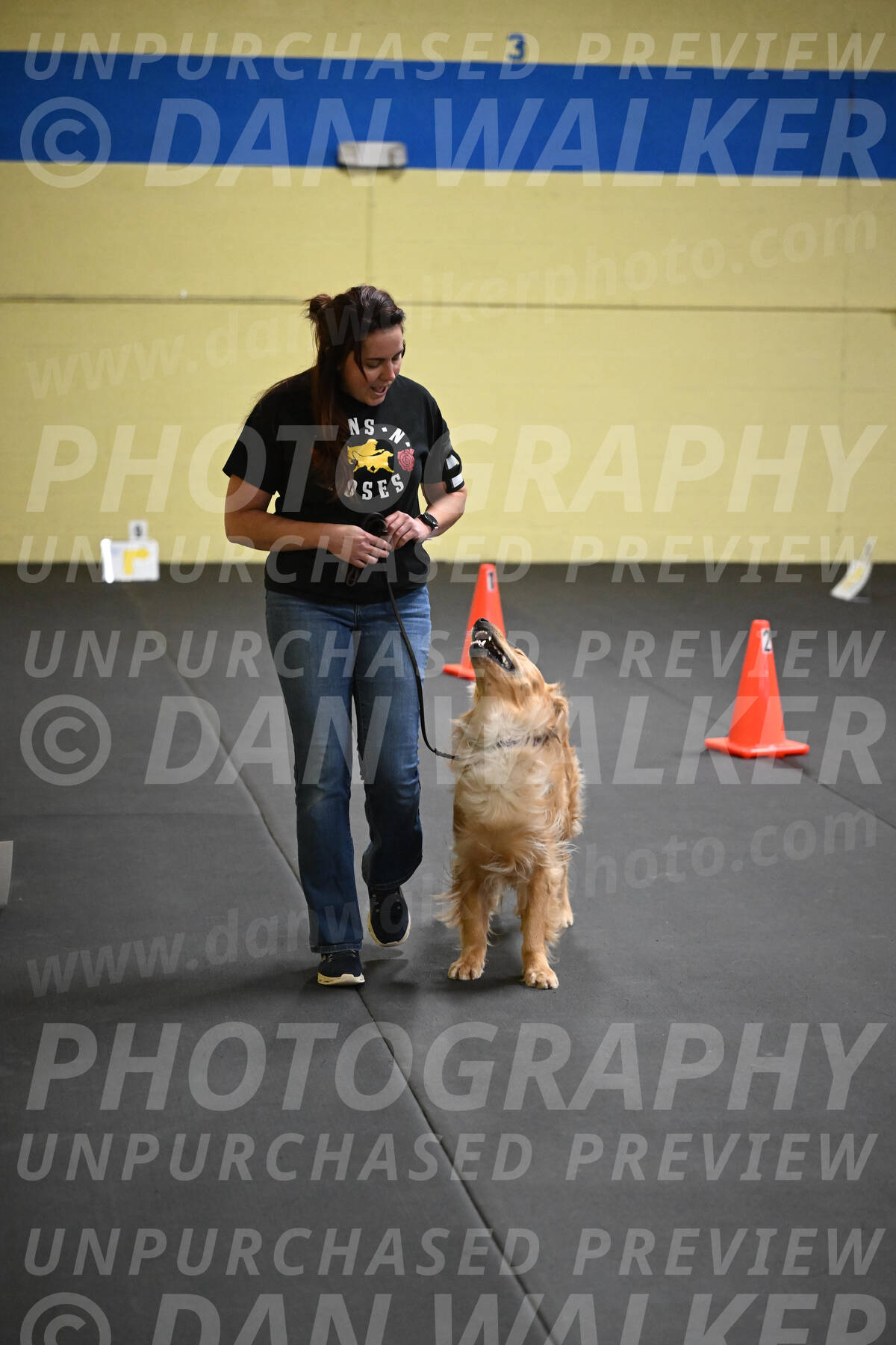 SUN203_0024