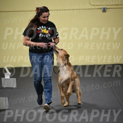 SUN203_0029