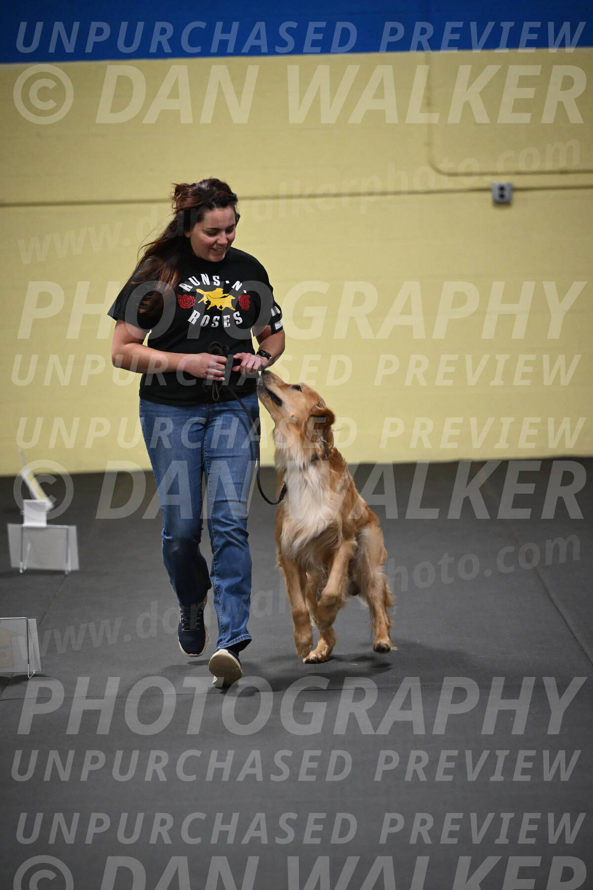 SUN203_0029