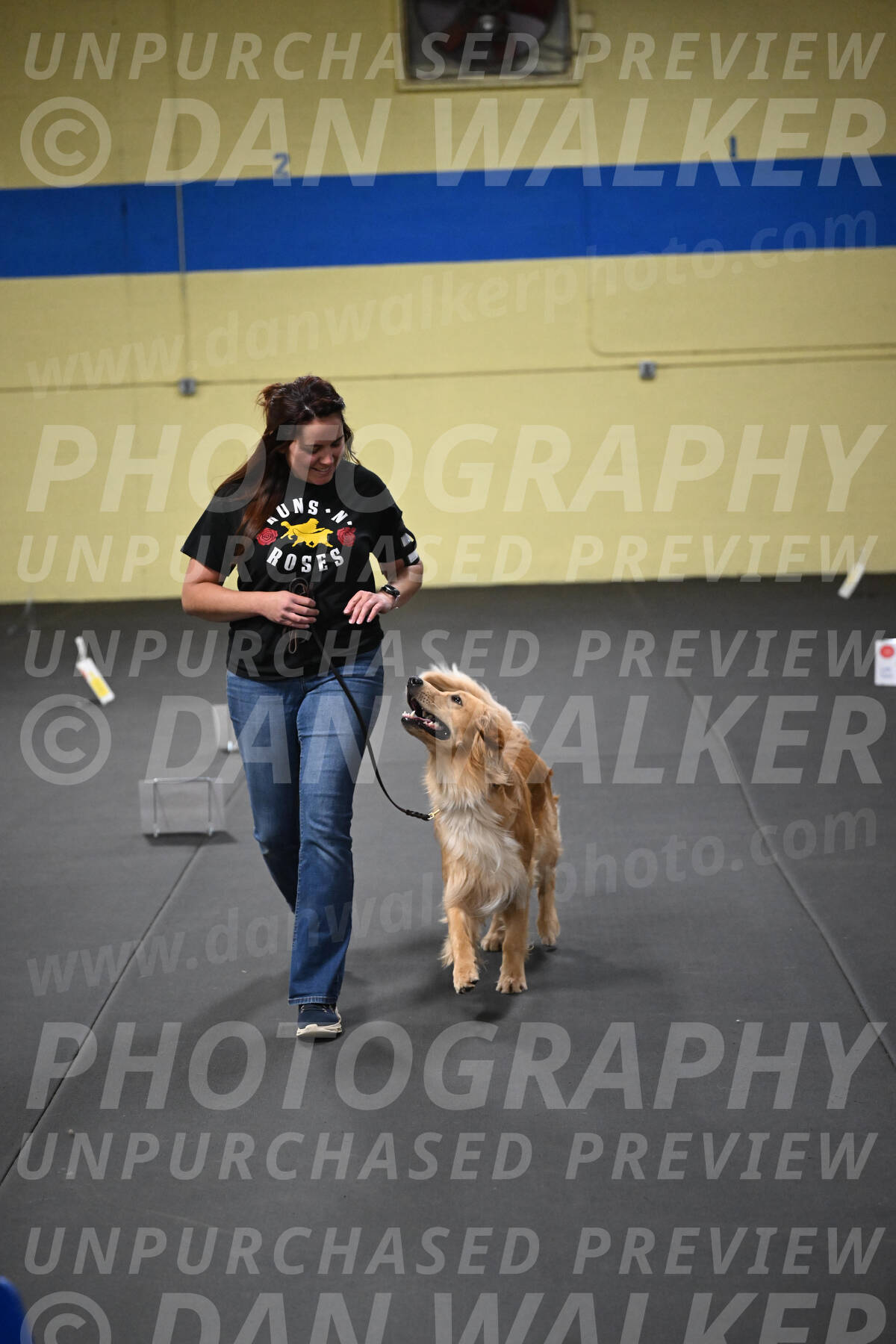 SUN203_0049