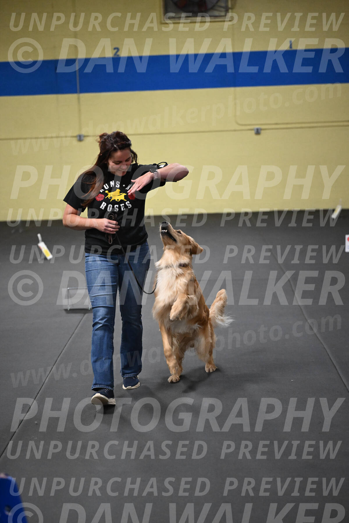 SUN203_0052