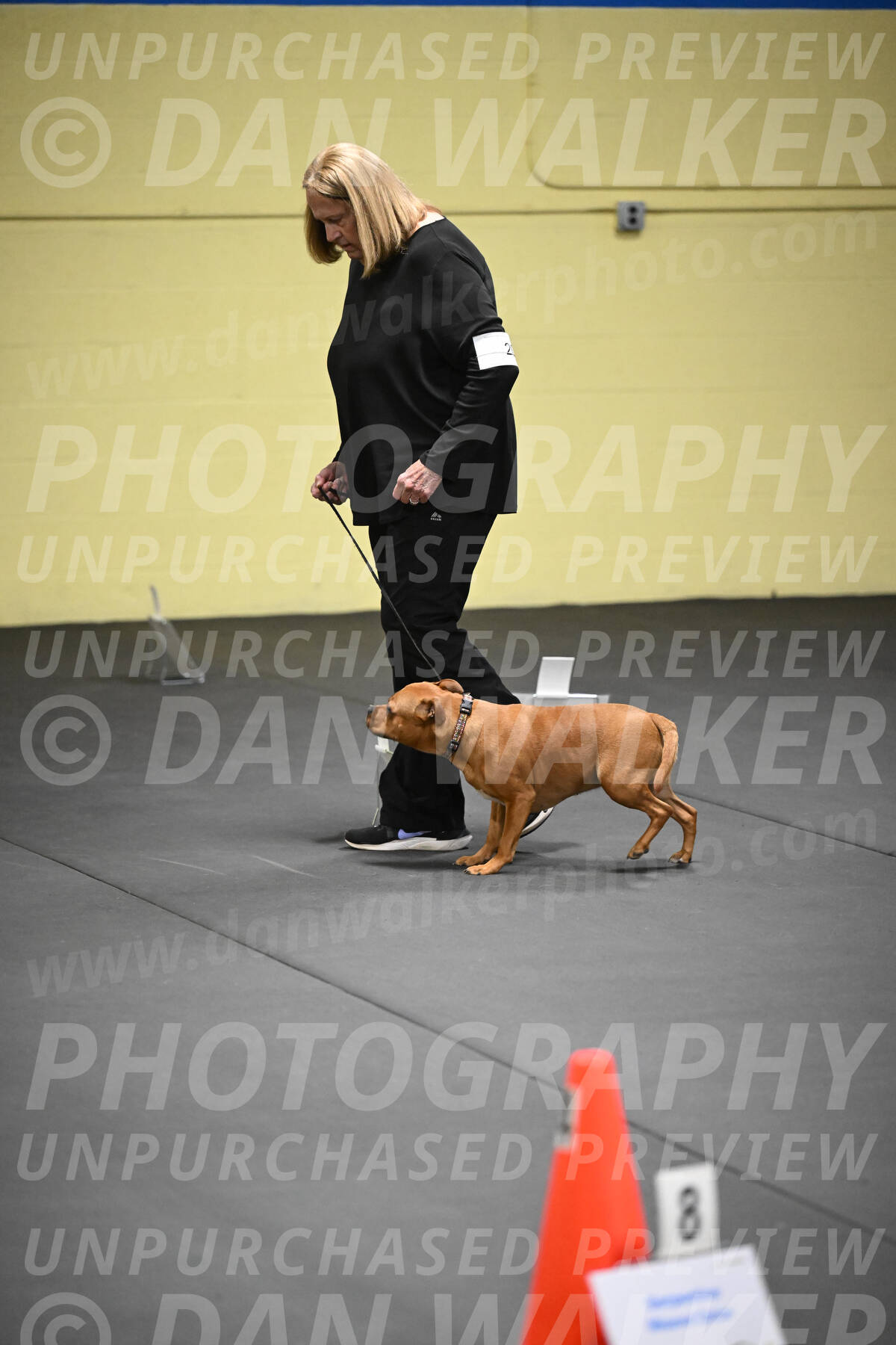 SUN205_0008