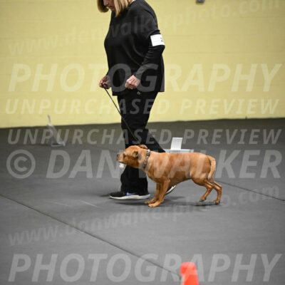 SUN205_0008