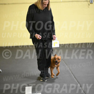 SUN205_0012