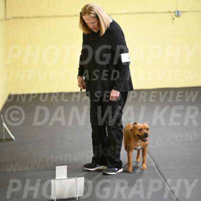 SUN205_0023