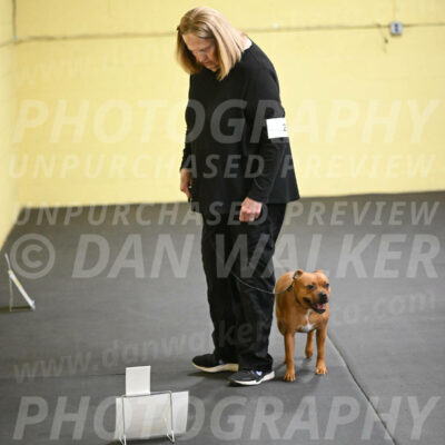 SUN205_0024