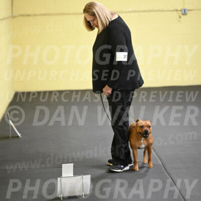SUN205_0026