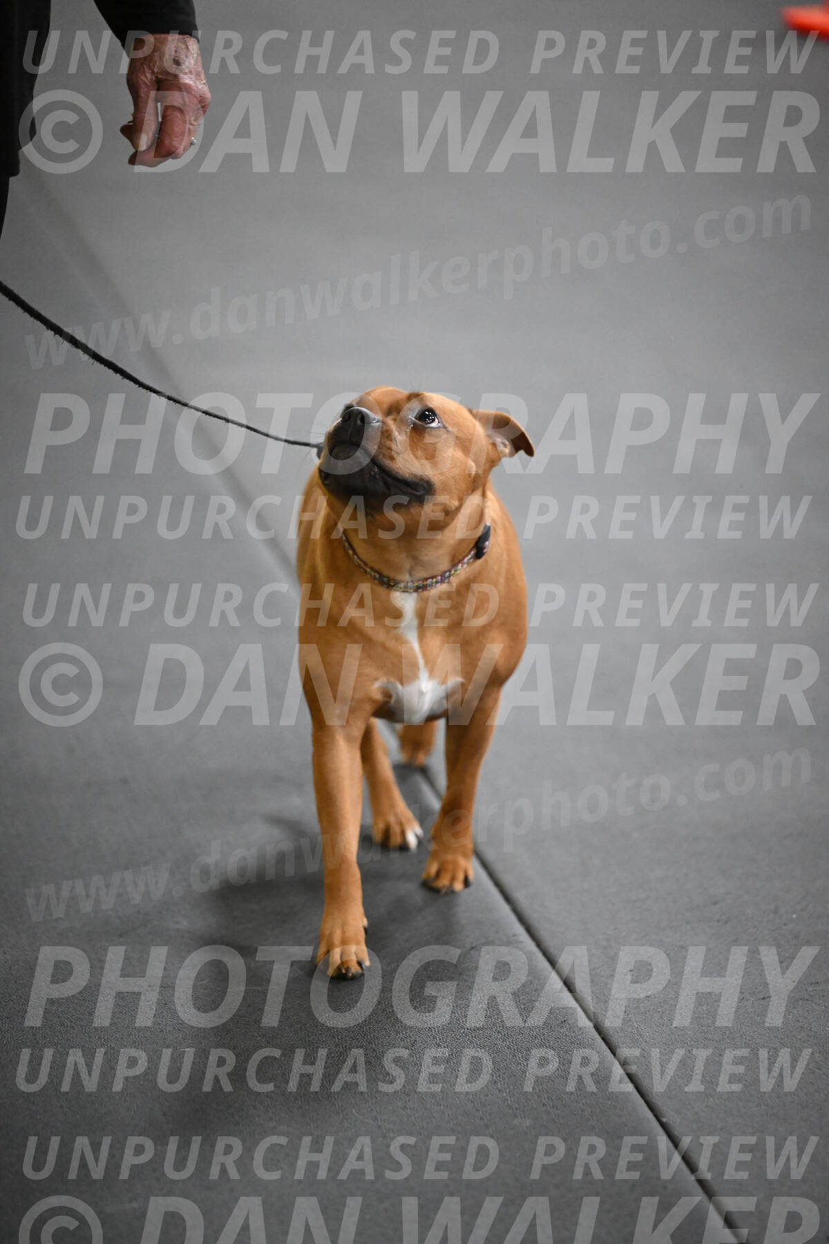 SUN205_0028