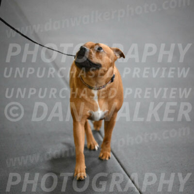 SUN205_0028