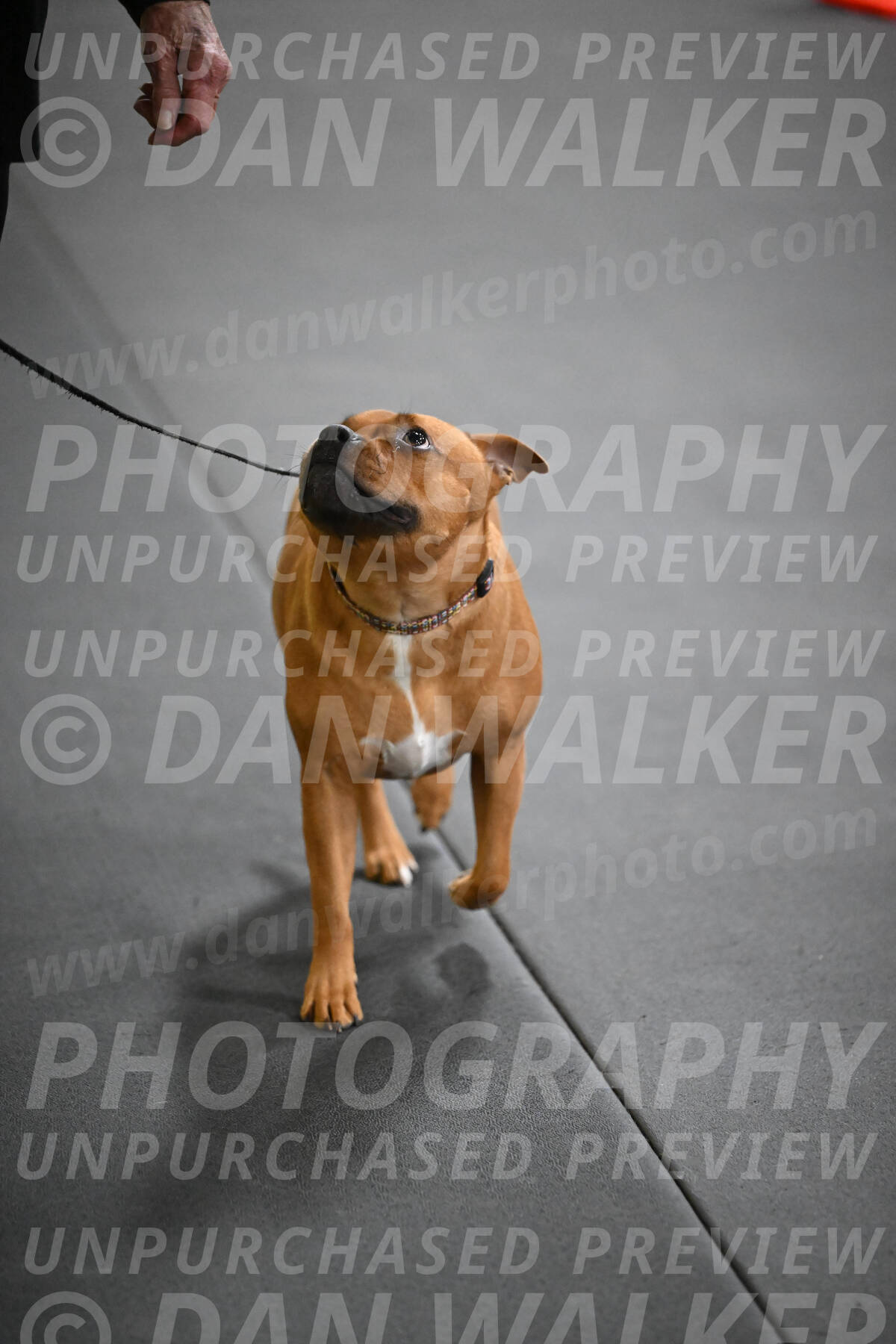 SUN205_0029