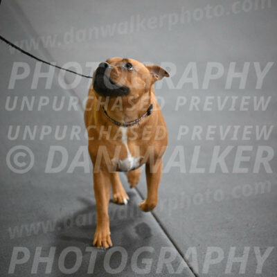 SUN205_0029