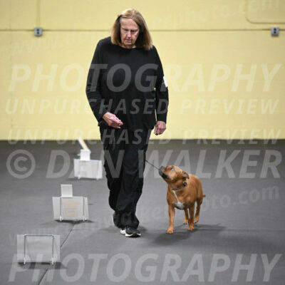 SUN205_0039