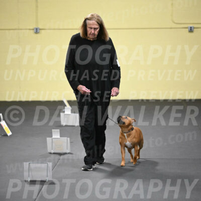 SUN205_0041