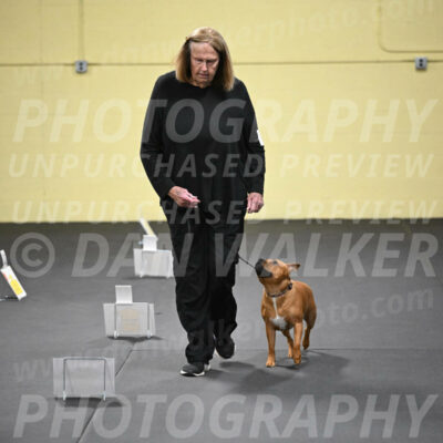 SUN205_0042
