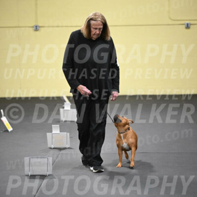 SUN205_0044