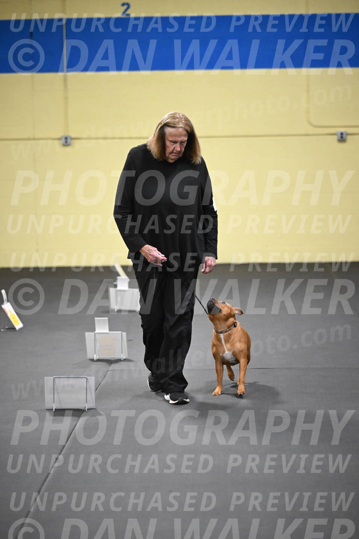 SUN205_0044