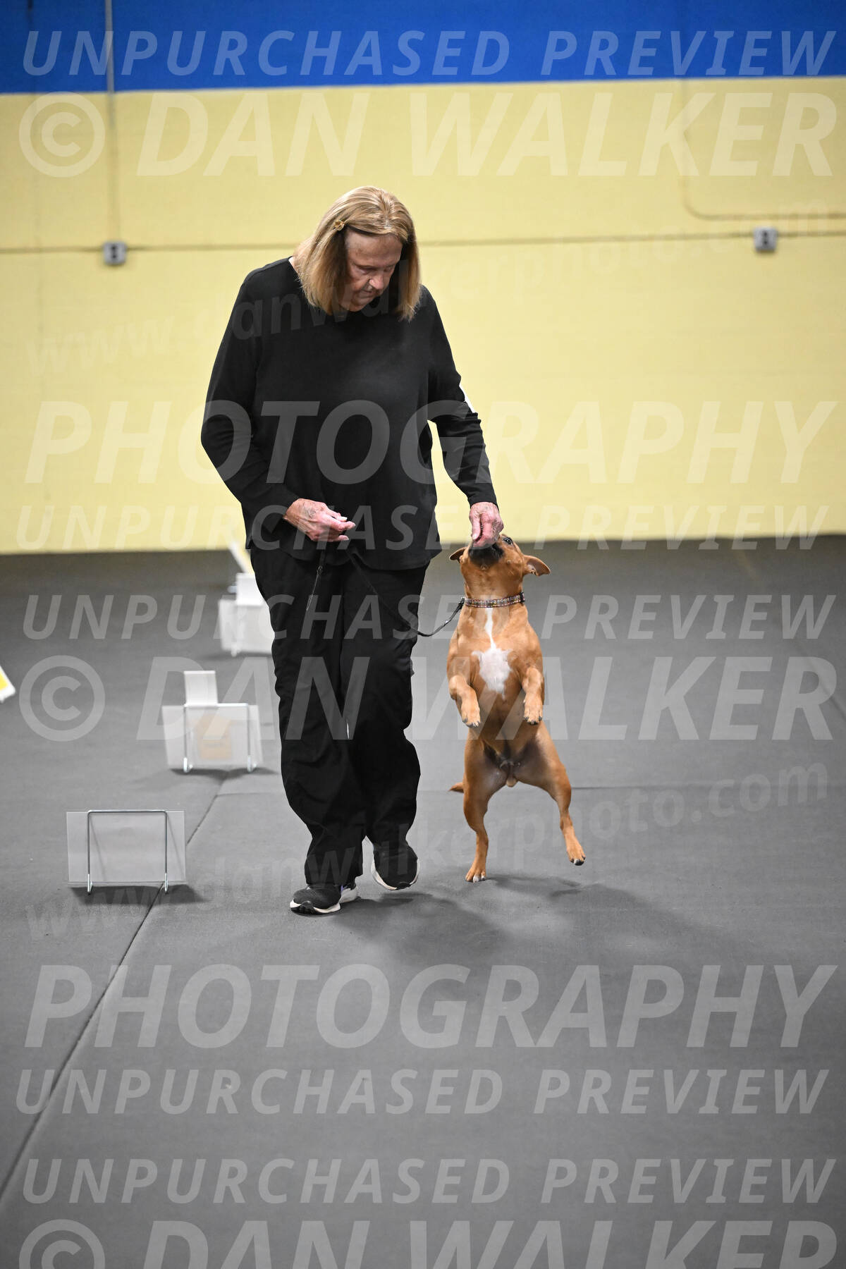 SUN205_0046