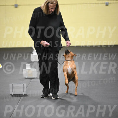 SUN205_0047