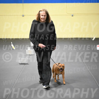 SUN205_0050