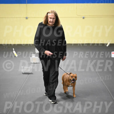 SUN205_0051