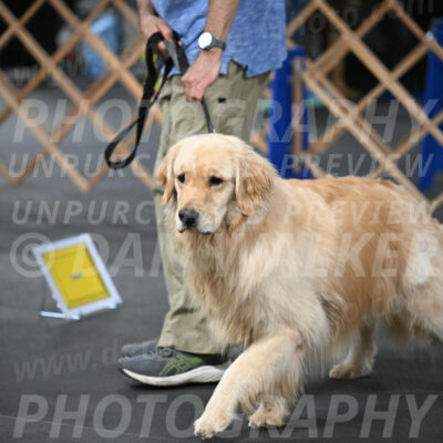 SUN206_0002