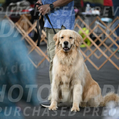 SUN206_0007